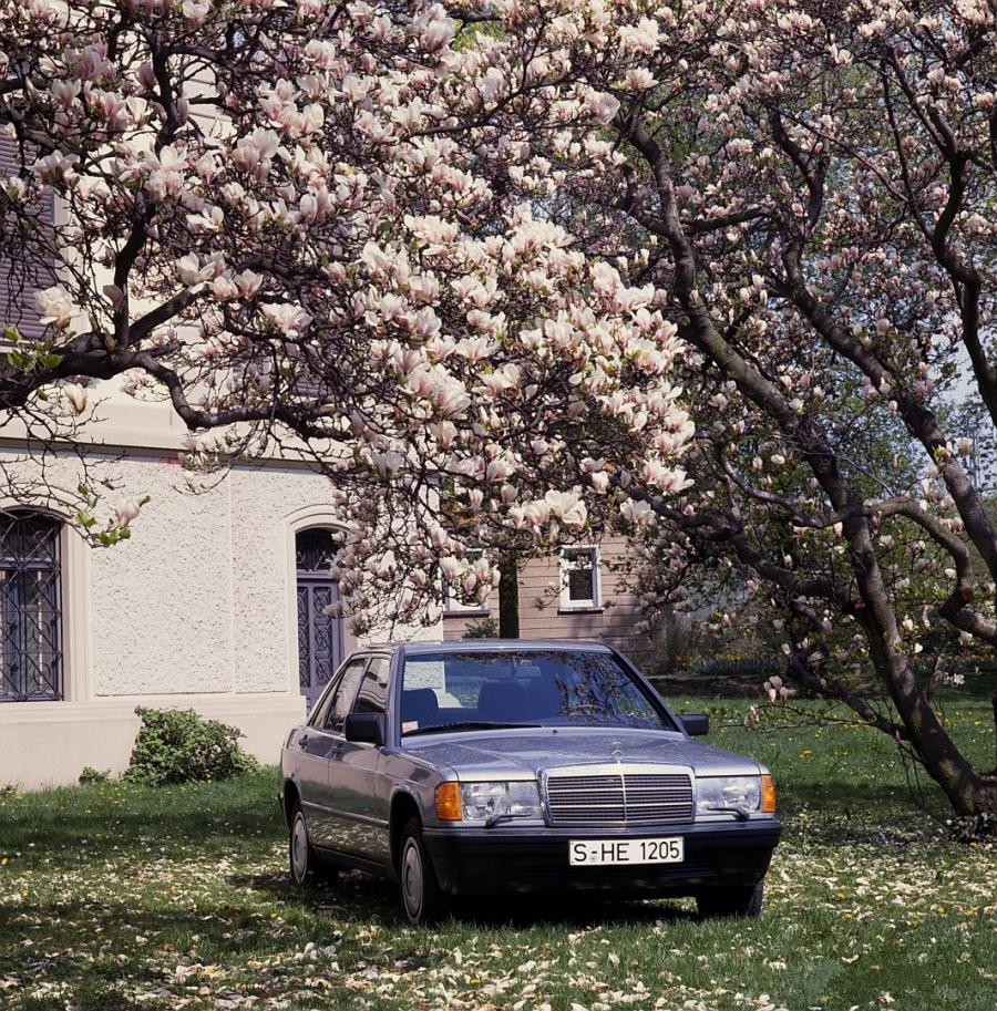 Mercedes-Benz 190 D 1983 года  (фото 14 из 15)